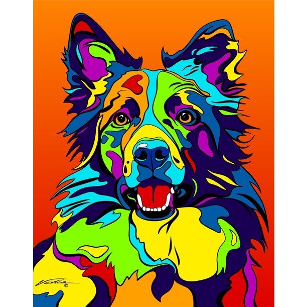 Border+Collie.jpg?format=1000w